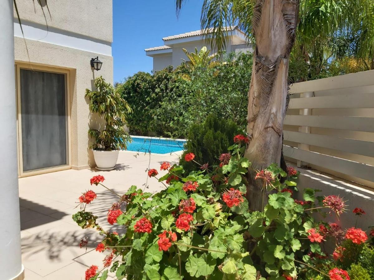 Anthorina Villa 3 Протарас Экстерьер фото